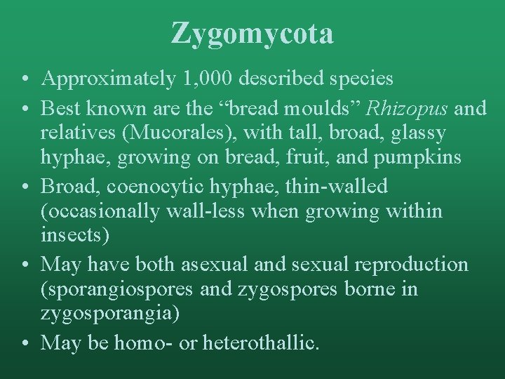 Zygomycota • Approximately 1, 000 described species • Best known are the “bread moulds”