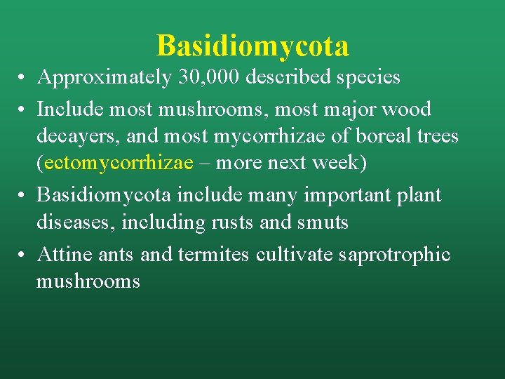Basidiomycota • Approximately 30, 000 described species • Include most mushrooms, most major wood