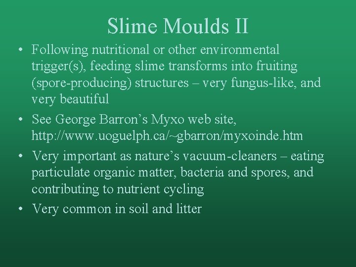 Slime Moulds II • Following nutritional or other environmental trigger(s), feeding slime transforms into