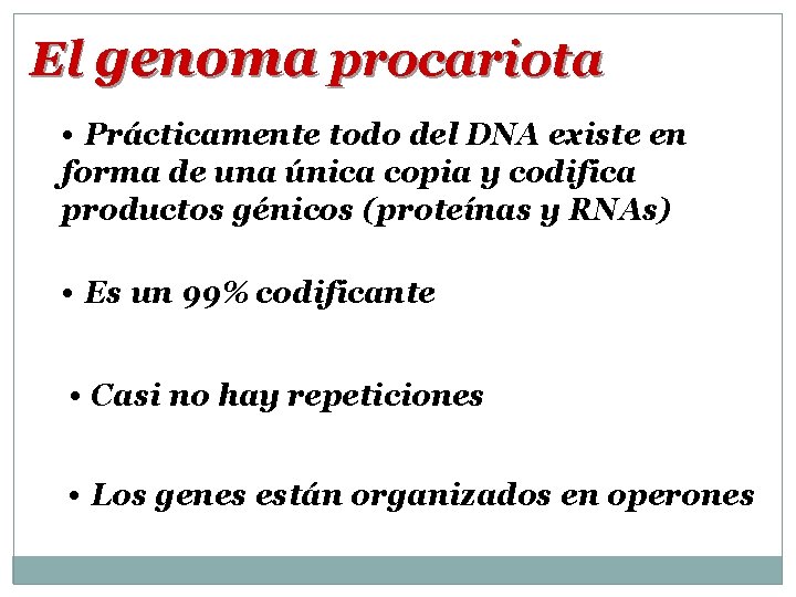 El genoma procariota • Prácticamente todo del DNA existe en forma de una única