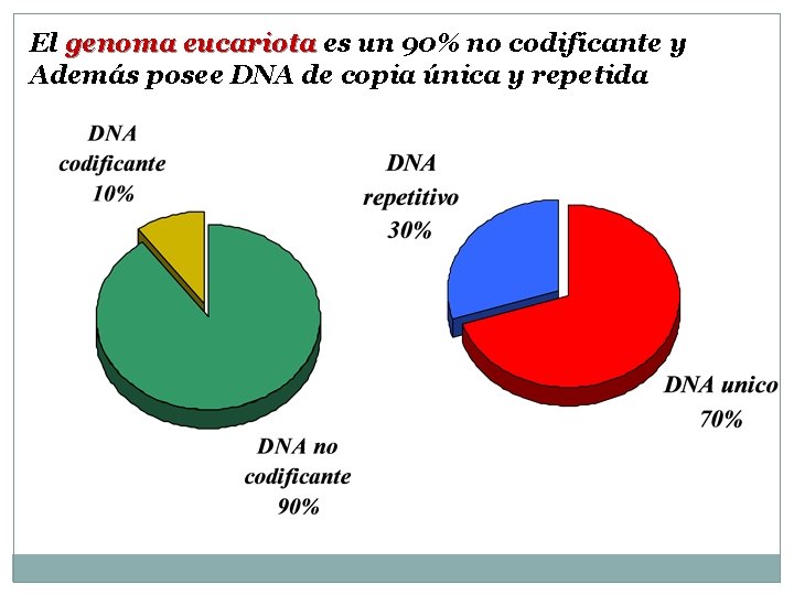 El genoma eucariota es un 90% no codificante y Además posee DNA de copia