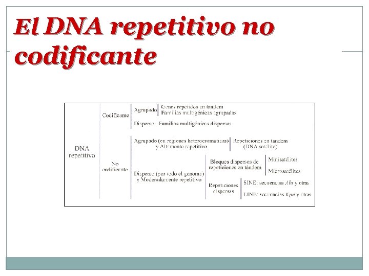 El DNA repetitivo no codificante 