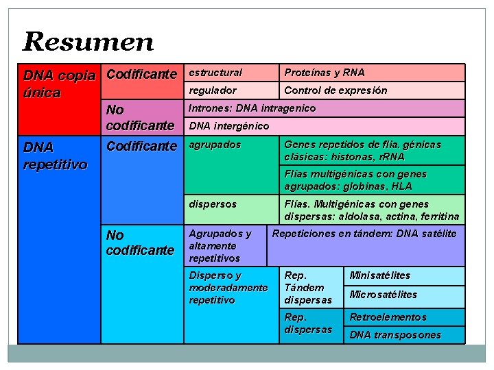 Resumen DNA copia Codificante única DNA repetitivo estructural Proteínas y RNA regulador Control de