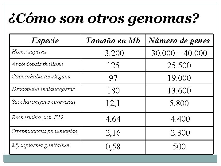 ¿Cómo son otros genomas? Especie Homo sapiens Arabidopsis thaliana Caenorhabditis elegans Drosophila melanogaster Saccharomyces