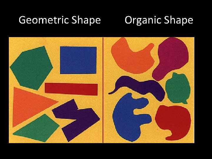 Geometric Shape Organic Shape 