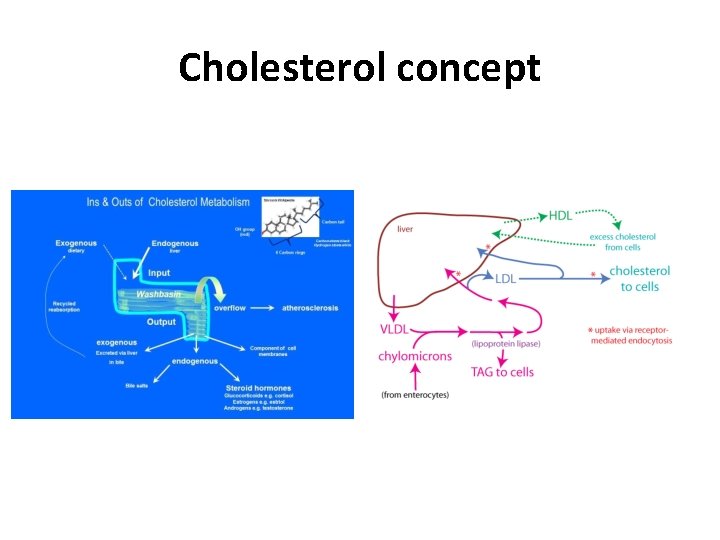 Cholesterol concept 