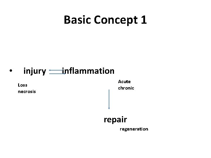 Basic Concept 1 • injury inflammation Acute chronic Loss necrosis repair regeneration 
