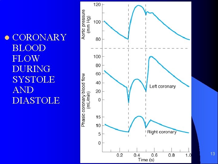 l CORONARY BLOOD FLOW DURING SYSTOLE AND DIASTOLE 13 