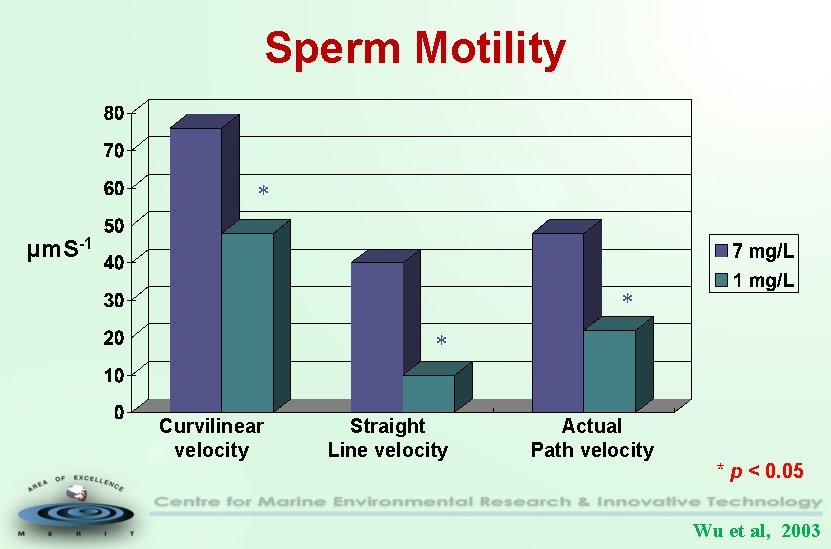 Sperm Motility * µm. S-1 * * Curvilinear velocity Straight Line velocity Actual Path