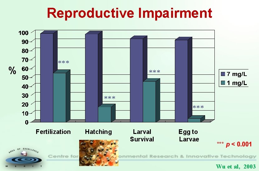 Reproductive Impairment % *** *** Fertilization Hatching Larval Survival Egg to Larvae *** p