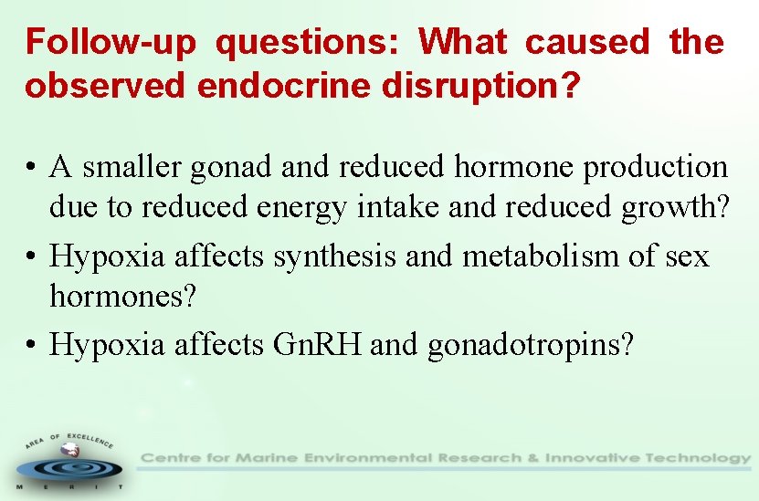 Follow-up questions: What caused the observed endocrine disruption? • A smaller gonad and reduced