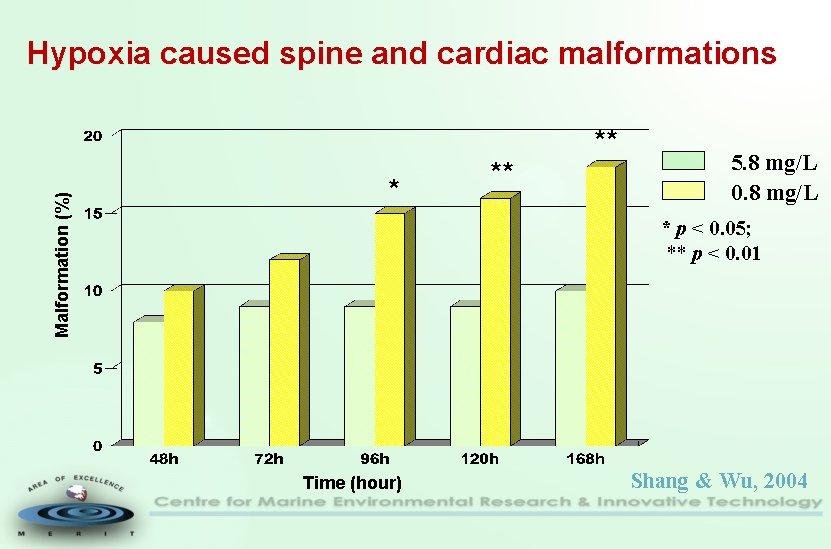 Malformation (%) Hypoxia caused spine and cardiac malformations * ** ** 5. 8 mg/L