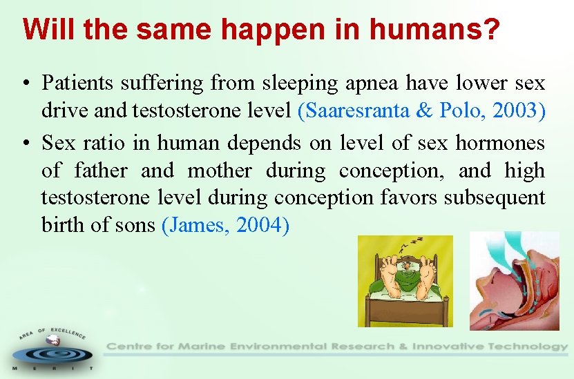 Will the same happen in humans? • Patients suffering from sleeping apnea have lower