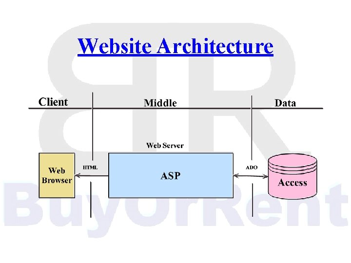 Website Architecture 