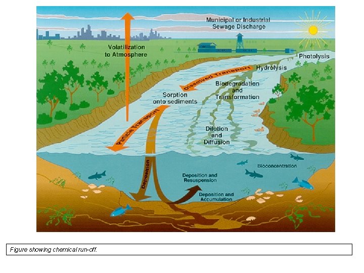 Figure showing chemical run-off. 