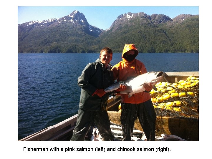 Fisherman with a pink salmon (left) and chinook salmon (right). 