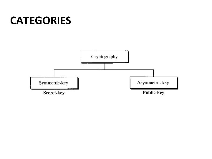 CATEGORIES 