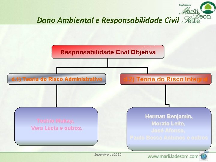 Dano Ambiental e Responsabilidade Civil Objetiva d. 1) Teoria do Risco Administrativo d. 2)