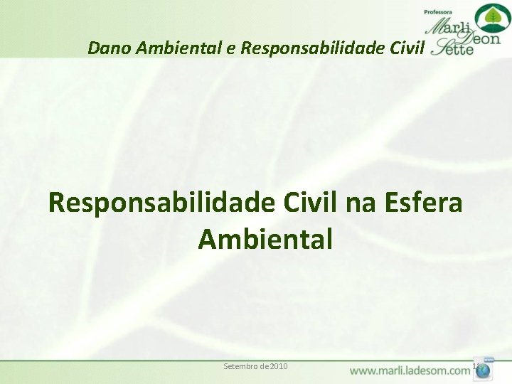Dano Ambiental e Responsabilidade Civil na Esfera Ambiental Setembro de 2010 11 