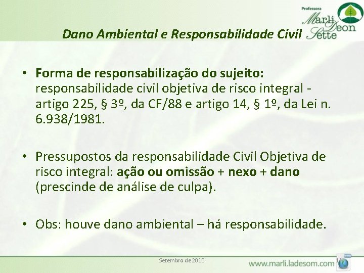 Dano Ambiental e Responsabilidade Civil • Forma de responsabilização do sujeito: responsabilidade civil objetiva