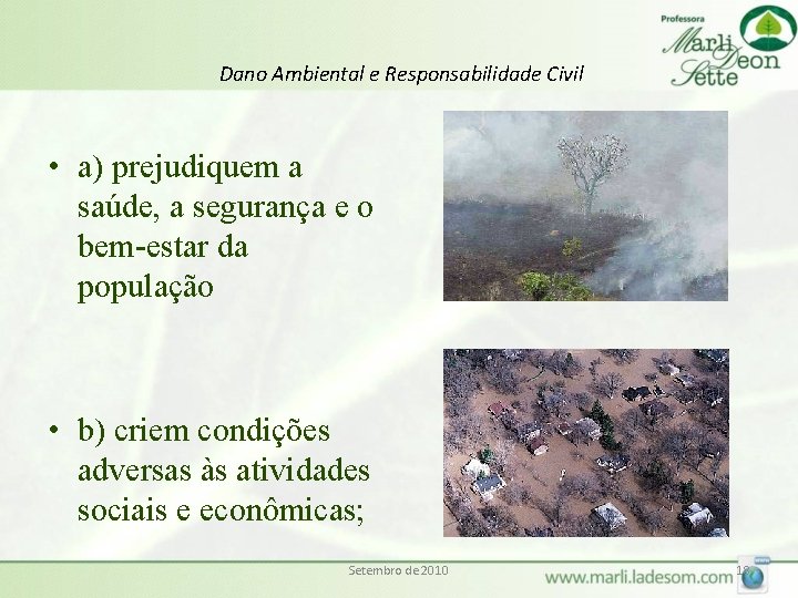 Dano Ambiental e Responsabilidade Civil • a) prejudiquem a saúde, a segurança e o