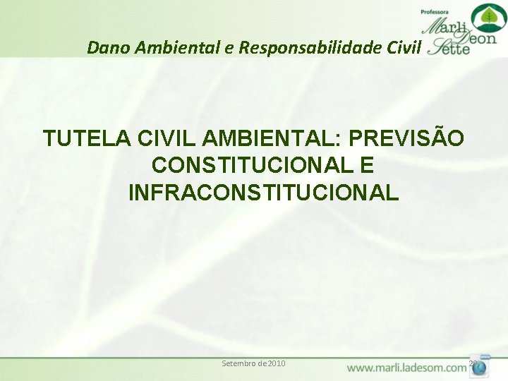 Dano Ambiental e Responsabilidade Civil TUTELA CIVIL AMBIENTAL: PREVISÃO CONSTITUCIONAL E INFRACONSTITUCIONAL Setembro de