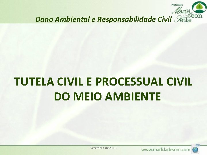 Dano Ambiental e Responsabilidade Civil TUTELA CIVIL E PROCESSUAL CIVIL DO MEIO AMBIENTE Setembro