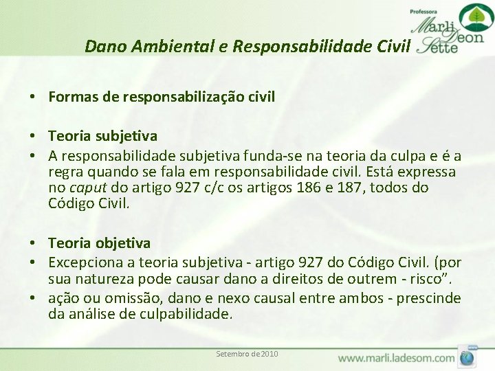 Dano Ambiental e Responsabilidade Civil • Formas de responsabilização civil • Teoria subjetiva •