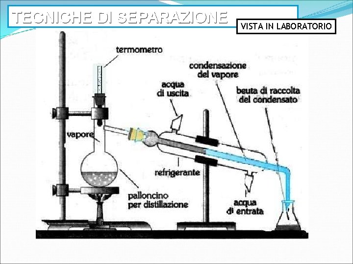 TECNICHE DI SEPARAZIONE VISTA IN LABORATORIO 