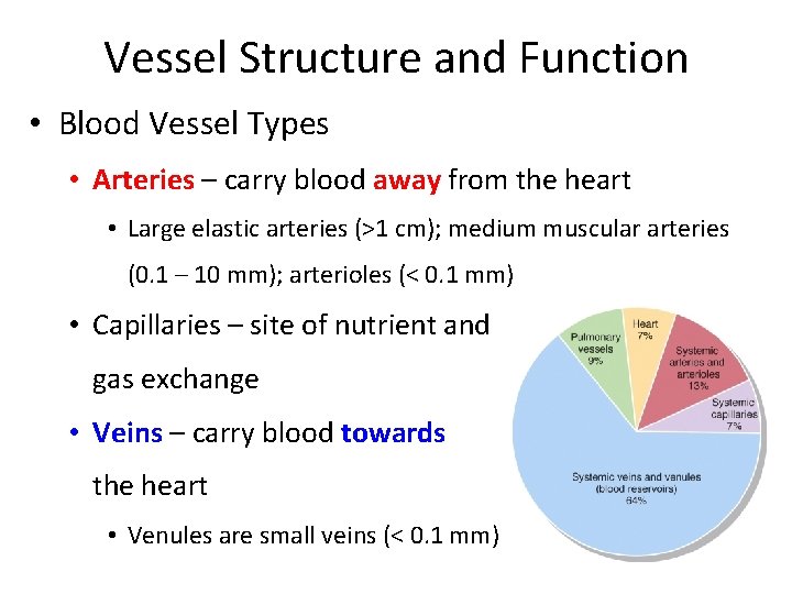 Vessel Structure and Function • Blood Vessel Types • Arteries – carry blood away