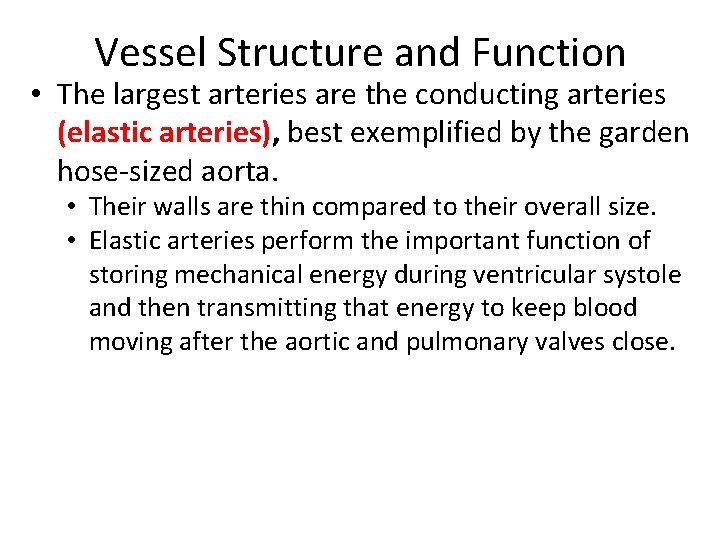 Vessel Structure and Function • The largest arteries are the conducting arteries (elastic arteries),