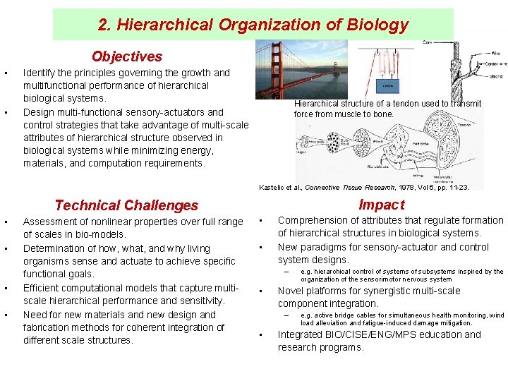 2. Hierarchical Organization of Biology Objectives • • Identify the principles governing the growth