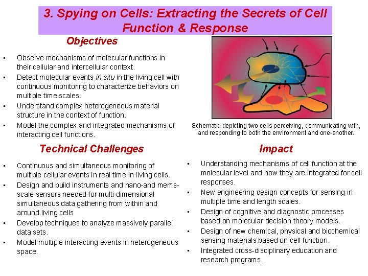 3. Spying on Cells: Extracting the Secrets of Cell Function & Response Objectives •