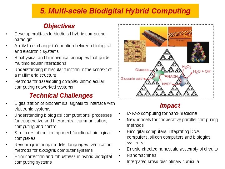 5. Multi-scale Biodigital Hybrid Computing Objectives • • • Develop multi-scale biodigital hybrid computing