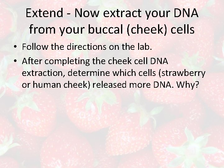 Extend - Now extract your DNA from your buccal (cheek) cells • Follow the