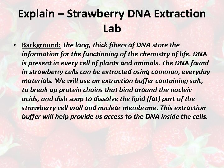 Explain – Strawberry DNA Extraction Lab • Background: The long, thick fibers of DNA