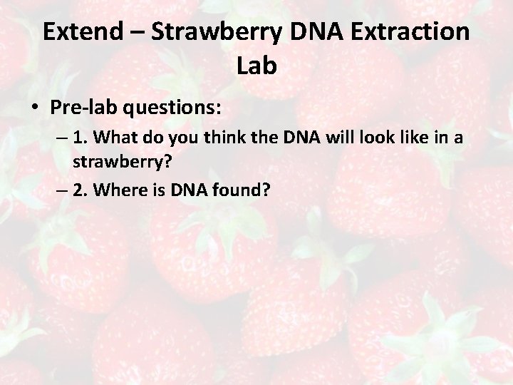 Extend – Strawberry DNA Extraction Lab • Pre-lab questions: – 1. What do you