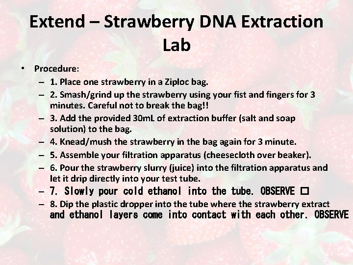 Extend – Strawberry DNA Extraction Lab • Procedure: – 1. Place one strawberry in