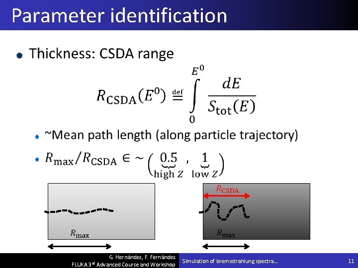 Parameter identification G. Hernández, F. Fernández FLUKA 3 rd Advanced Course and Workshop Simulation