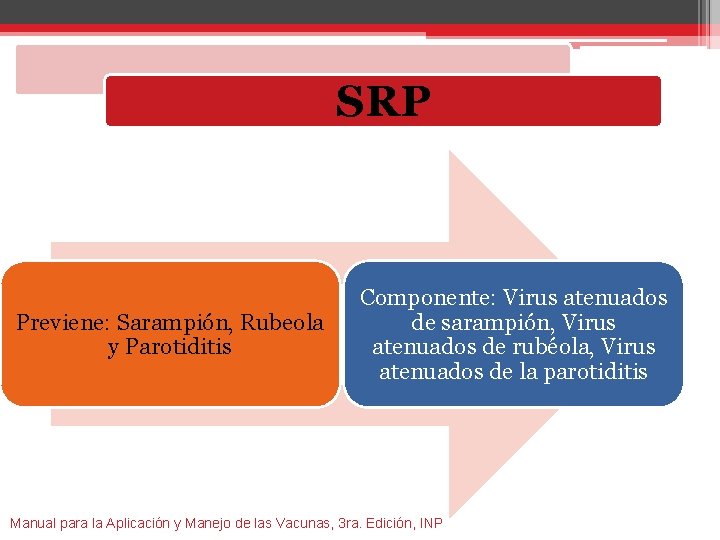 SRP Previene: Sarampión, Rubeola y Parotiditis Componente: Virus atenuados de sarampión, Virus atenuados de