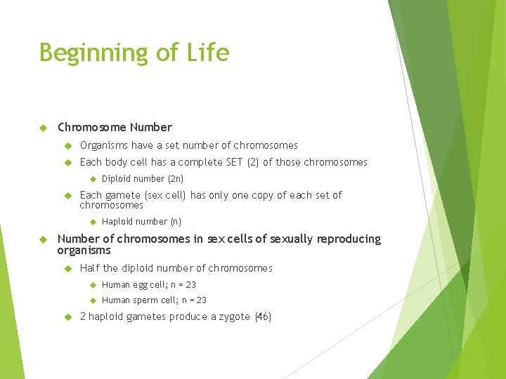 Beginning of Life Chromosome Number Organisms have a set number of chromosomes Each body