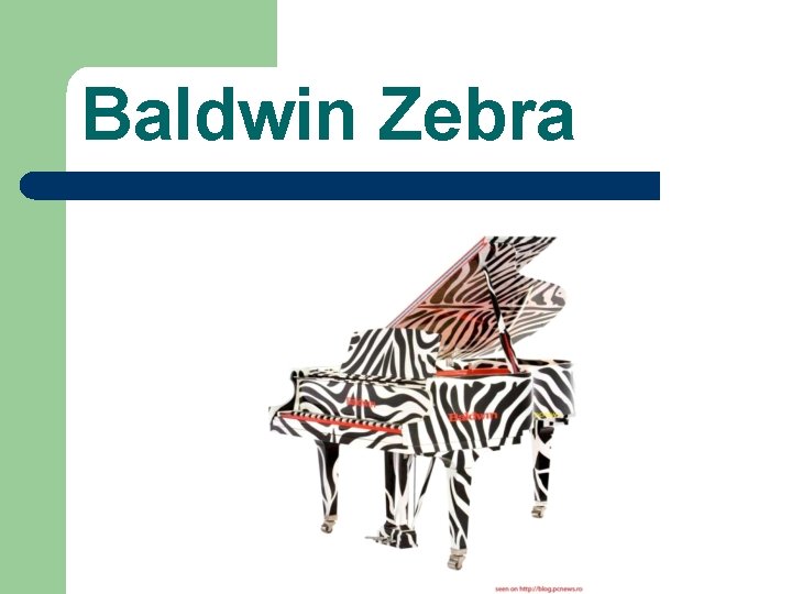 Baldwin Zebra 