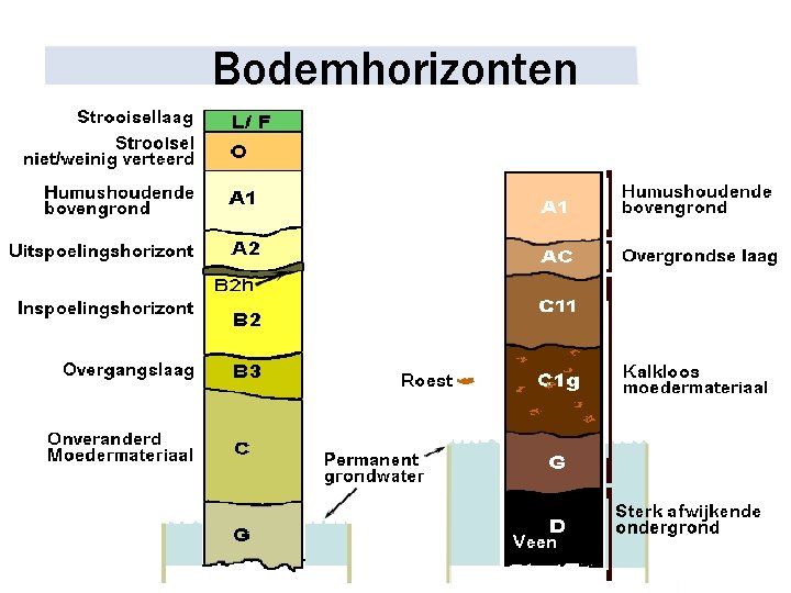 Hager tehalit LFK, variabele buitenhoek voor goot 12x50 MM, verkeerswit Hager tehalit LFK, variabele buitenhoek voor goot 12x50 MM, verkeerswit