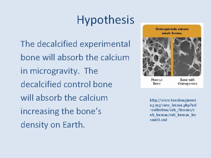 Hypothesis The decalcified experimental bone will absorb the calcium in microgravity. The decalcified control