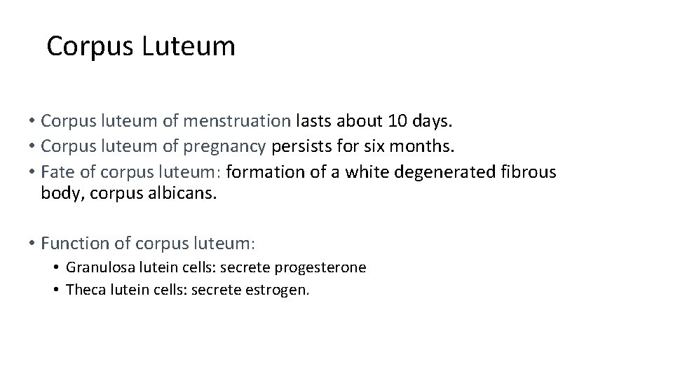 Corpus Luteum • Corpus luteum of menstruation lasts about 10 days. • Corpus luteum