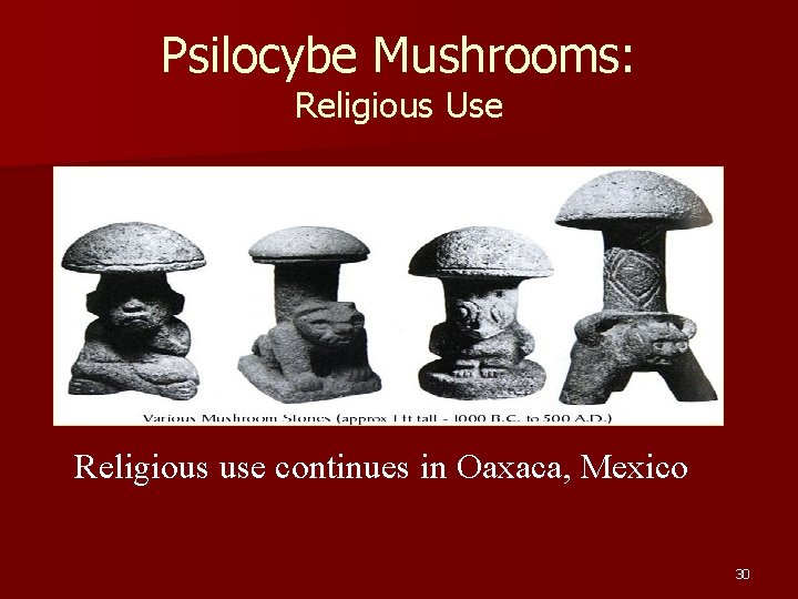 Psilocybe Mushrooms: Religious Use Religious use continues in Oaxaca, Mexico 30 