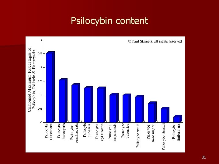 Psilocybin content 31 