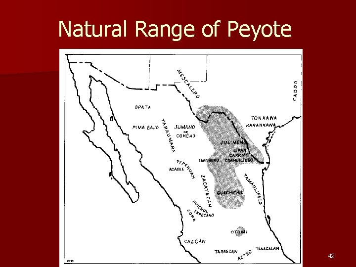 Natural Range of Peyote 42 