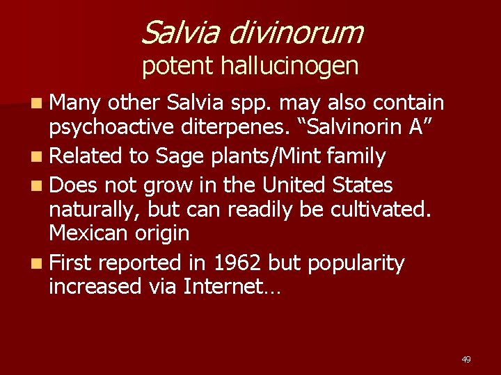 Salvia divinorum potent hallucinogen n Many other Salvia spp. may also contain psychoactive diterpenes.