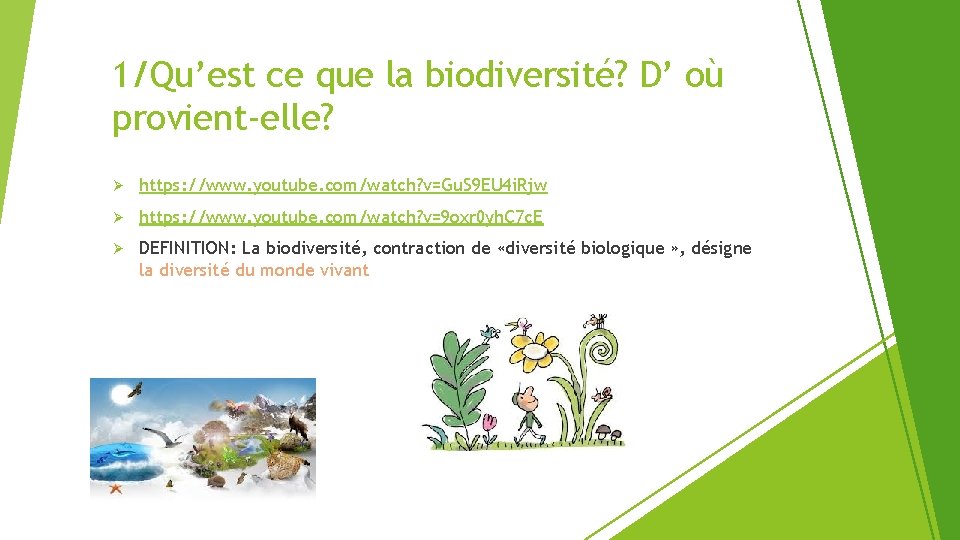 1/Qu’est ce que la biodiversité? D’ où provient-elle? Ø https: //www. youtube. com/watch? v=Gu.